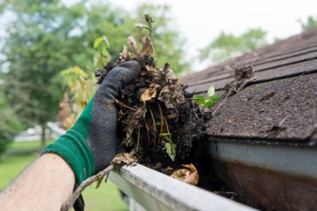 It is now 2023: When was the last time you cleaned your gutters?